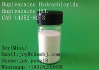 USP High Purity Bupivacaine Hydrochloride Bupivacaine HCL CAS 14252-80-3 Local Anesthetic Pain Relief