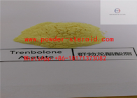 Bodybuilding Hormone Steroid Trenbolone Acetate , 10161-34-9 Raw Hormone Powder