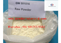 Gw501516 Sarms Raw Materials Powder Cardarine Gw-501516 CAS: 317318-70-0