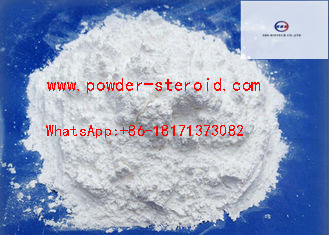 Bulking Cycle Steroid Raw Powder Tibolone / Livial For Bodybuilding CAS 5630-53-5